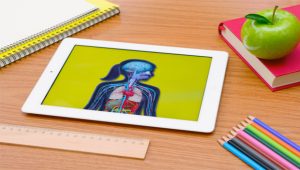 Flipped Classroom. Conoscenza e competenza in classe virtuale