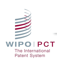 Domanda di brevetto Internazionale N. PCT/IB2020/054935