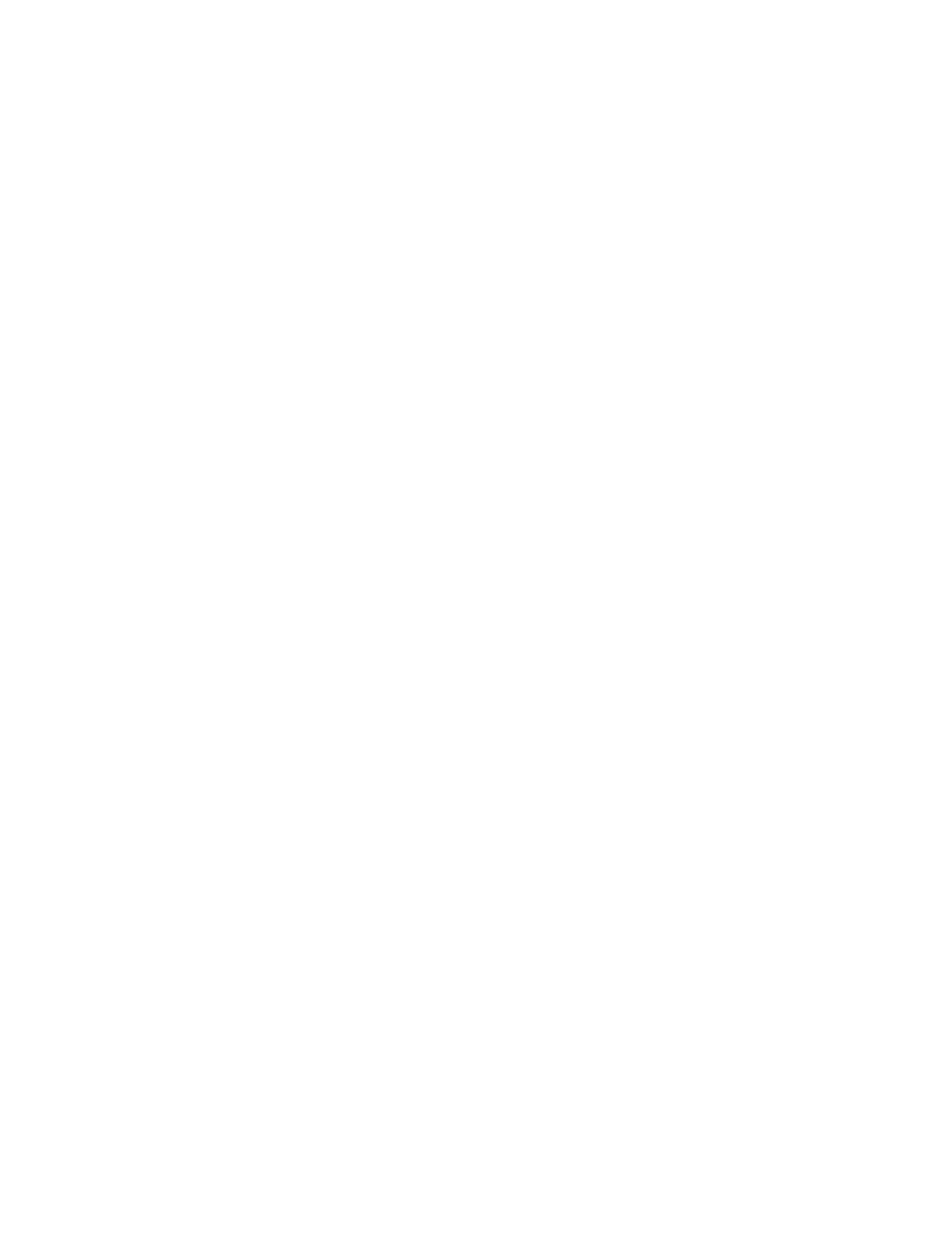 +20 anni di esperienza